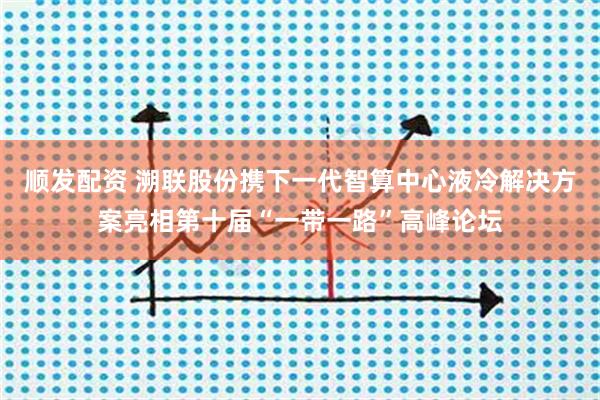 順發(fā)配資 溯聯(lián)股份攜下一代智算中心液冷解決方案亮相第十屆“一帶一路”高峰論壇